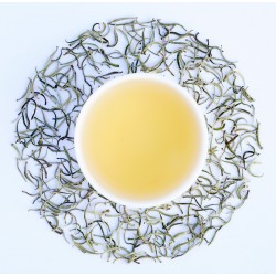 Assam SonaBheel Silver Buds ( Limited Edition )