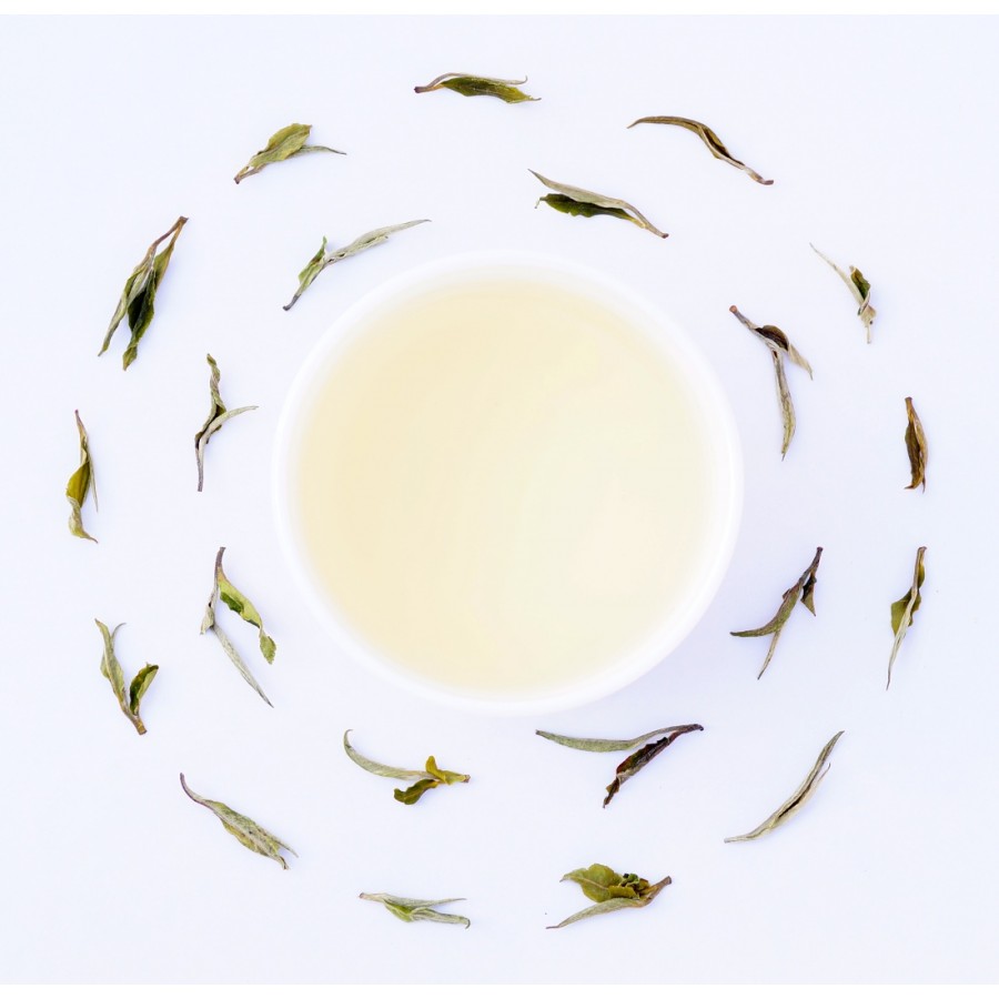 Washabarie Exotic Spring White Tea