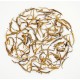 Mariyang 2020 Wild Silver Fawn Hue